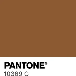PANTONE 10369 C colour swatch