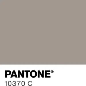 PANTONE 10370 C colour swatch