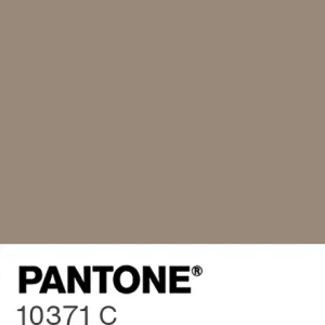 PANTONE 10371 C colour swatch