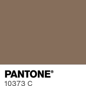 PANTONE 10373 C colour swatch