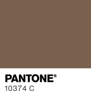 PANTONE 10374 C colour swatch