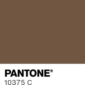 PANTONE 10375 C colour swatch