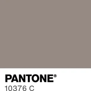 PANTONE 10376 C colour swatch