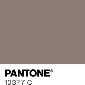 PANTONE 10377 C colour swatch