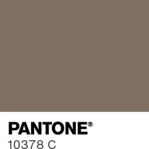 PANTONE 10378 C colour swatch