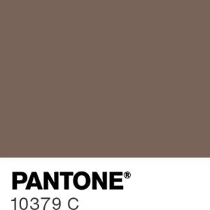 PANTONE 10379 C colour swatch