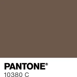 PANTONE 10380 C colour swatch