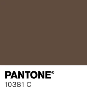 PANTONE 10381 C colour swatch