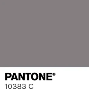 PANTONE 10383 C colour swatch