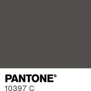 PANTONE 10397 C colour swatch
