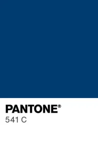 PANTONE 541 C colour swatch