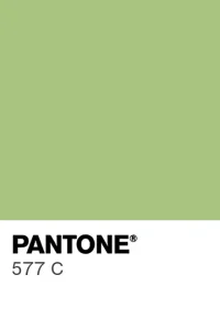 PANTONE 577 C colour swatch