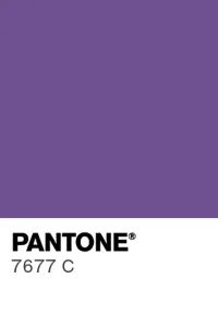 PANTONE 7677 C colour swatch