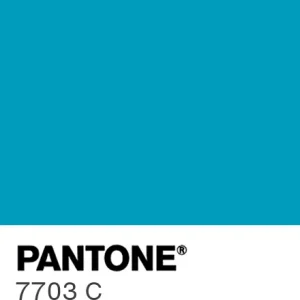 PANTONE 7703 C colour swatch