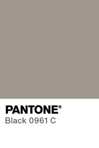 PANTONE Black 0961 C colour swatch
