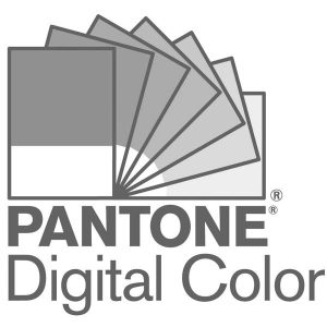 PANTONE Strong Red C colour swatch