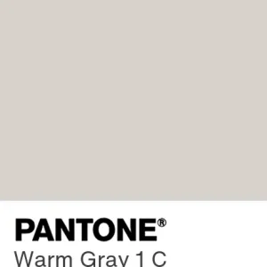 PANTONE Warm Gray 1 C colour swatch