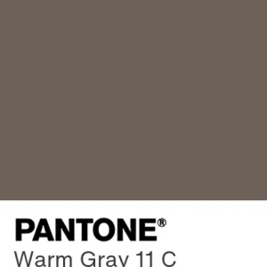 PANTONE Warm Gray 11 C colour swatch
