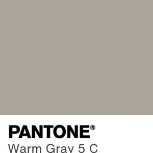 PANTONE Warm Gray 5 C colour swatch