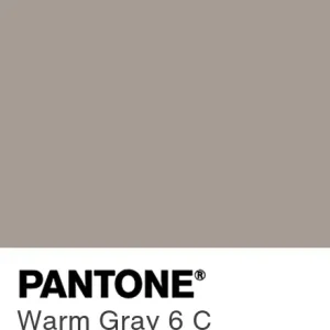 PANTONE Warm Gray 6 C colour swatch