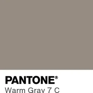 PANTONE Warm Gray 7 C colour swatch