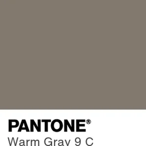 PANTONE Warm Gray 9 C colour swatch