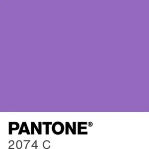 PANTONE 2074 C colour swatch
