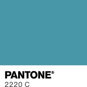 PANTONE 2220 C colour swatch